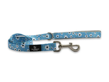 Ancol Soho Daisy Lead