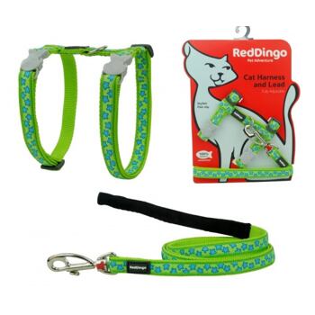 RD Lime Blue Star Cat Harness & Lead