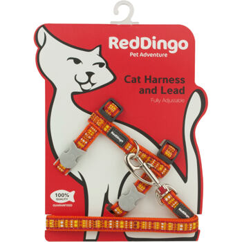RD Lotzadotz Orange Cat Harness & Lead