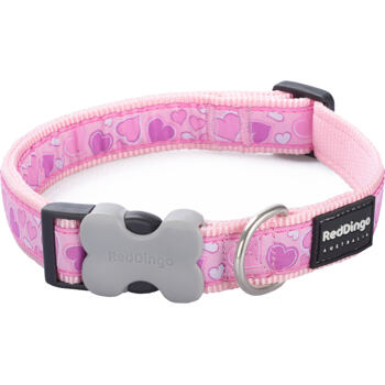 RD Love Pink Collar