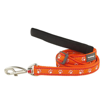 RD Desert Paws Orange Lead