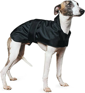 Hound Coat Black