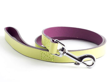 Ancol Lime Leather Lead