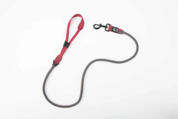 Baumutt Laxo Leash Dusk
