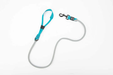 Baumutt Laxo Leash Stone