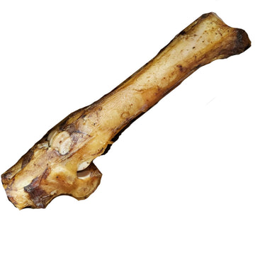 Beef Bone