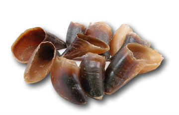 Beef Hooves
