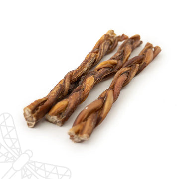Bull Pizzle Plait