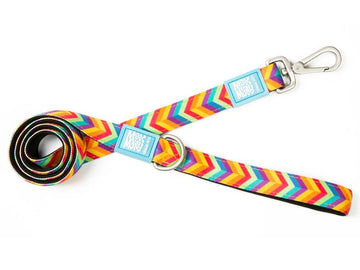 Max & Molly Summertime Rainbow Lead