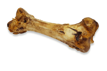Ostrich Bone