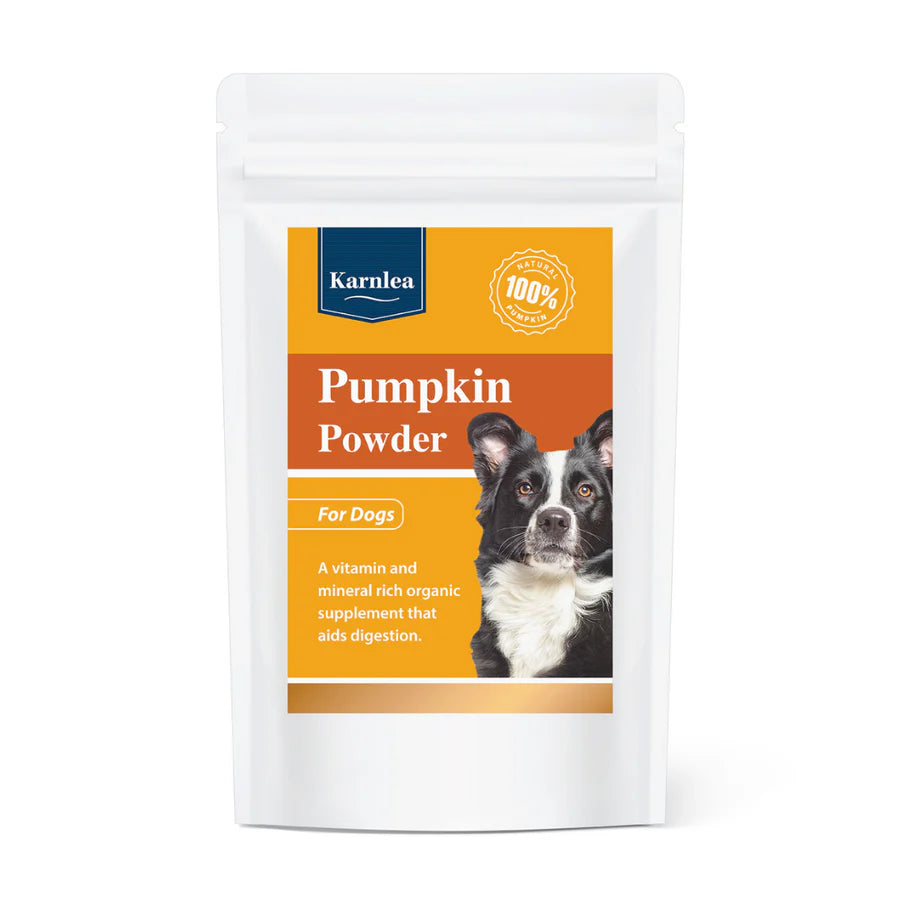 Pumpkin Powder