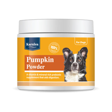 Pumpkin Powder