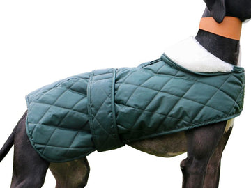 Hound Coat Green Quilted