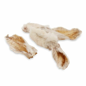 Rabbit Ear