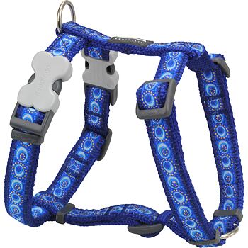 RD Cosmos Blue Harness