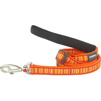 RD Lotzadotz Orange Lead
