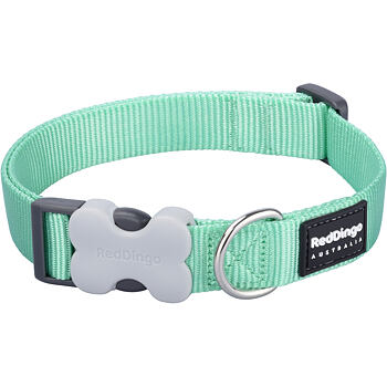 RD Pastel Green Collar