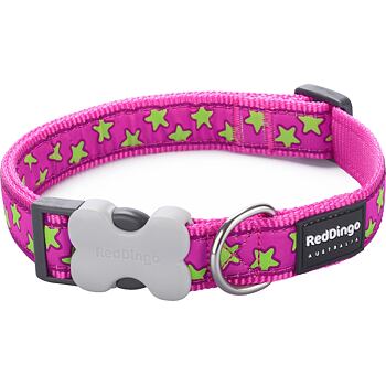 RD Pink Lime Stars Collar