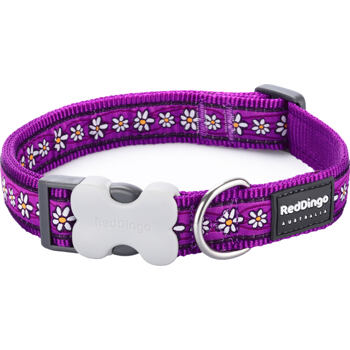 RD Purple Daisy Collar