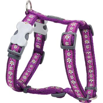 RD Purple Daisy Harness