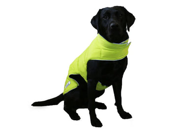 Viva Reversible Black/Lime Coat
