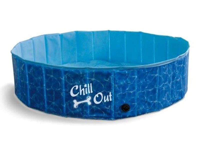 AFP Dog Pool
