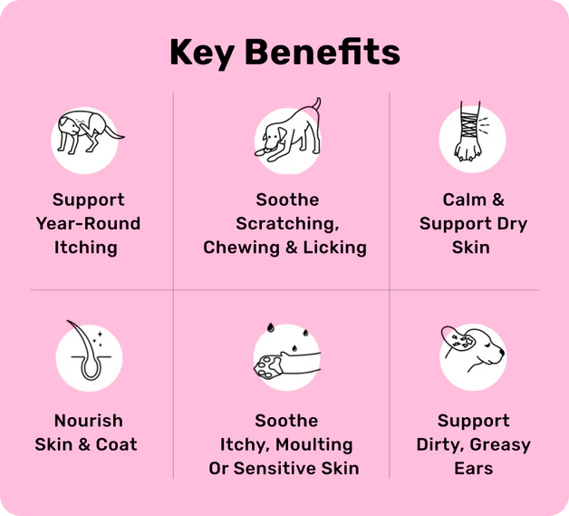 NutriPaw All Itch & Immunity