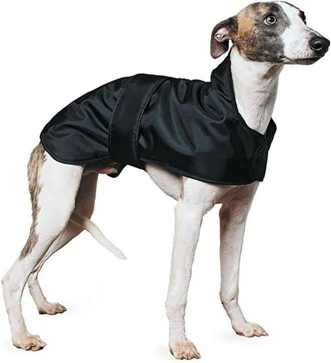 Hound Coat Black