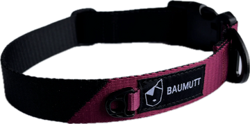 Baumutt Axis Collar Dusk