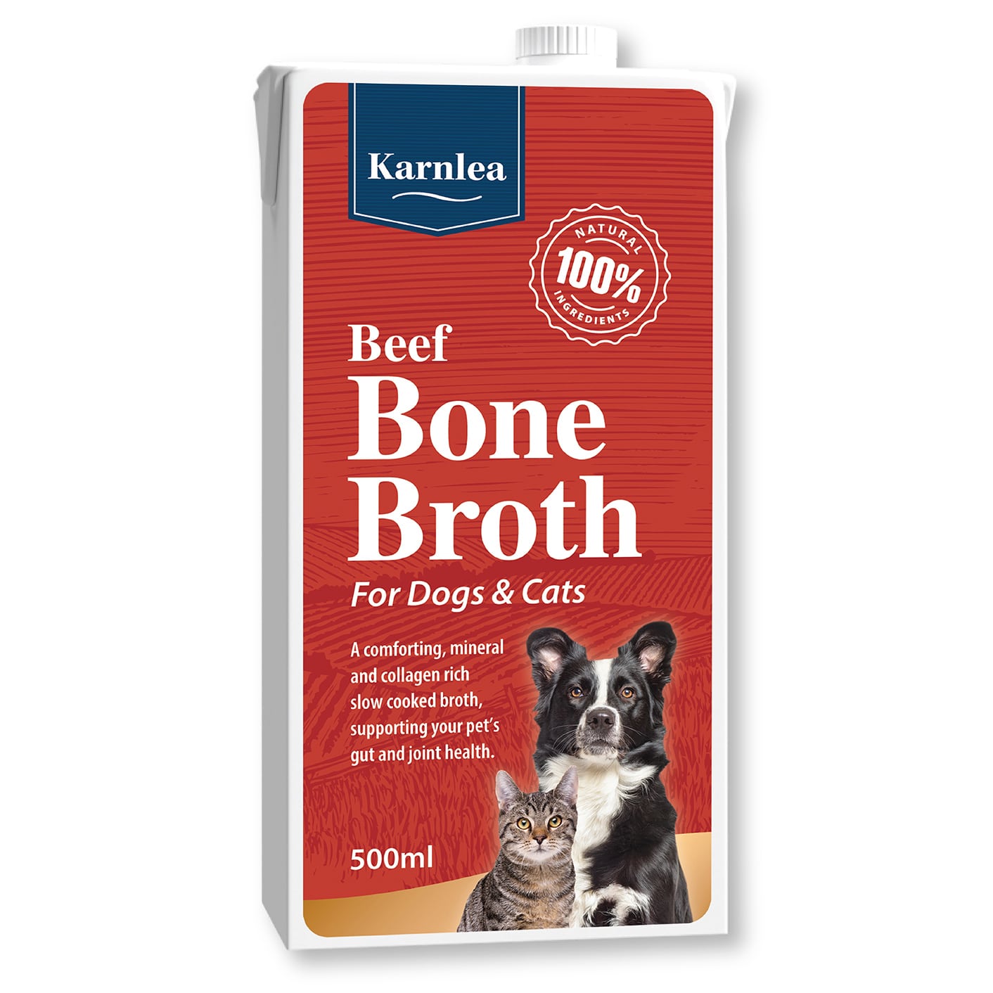 Beef Bone Broth