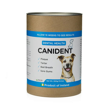 Canident