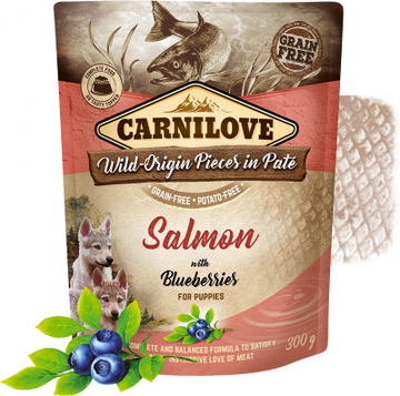Carnilove Salmon Pouch Puppy 300g