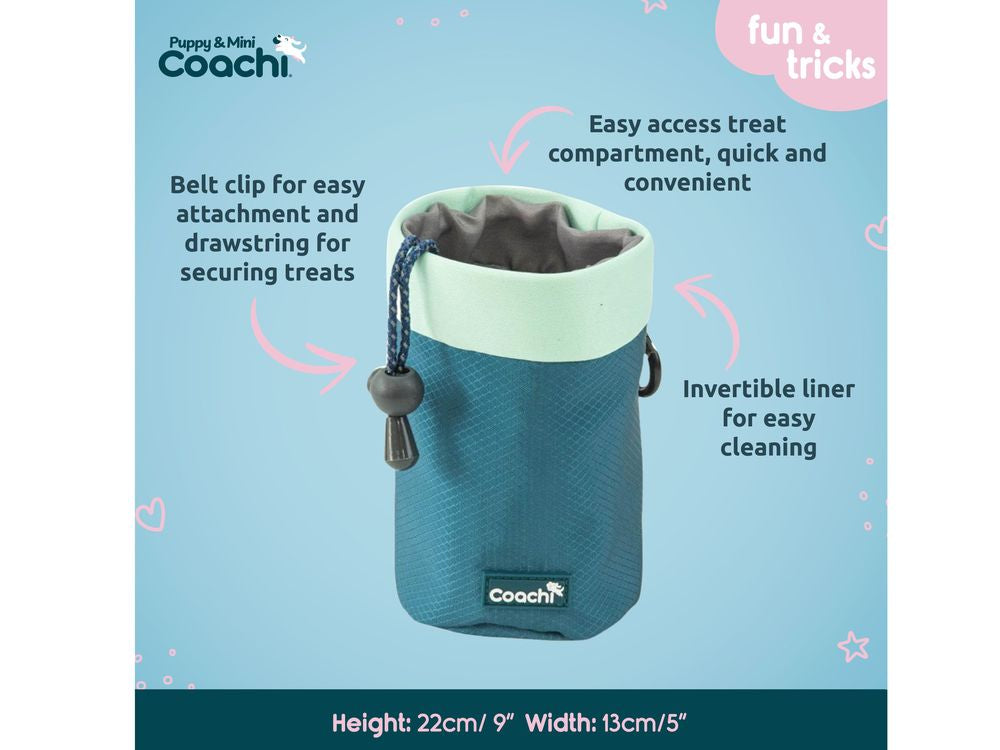 Coachi Puppy Treat Pouch Teal