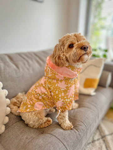 Kopi & Co Coat - Little Pupkin