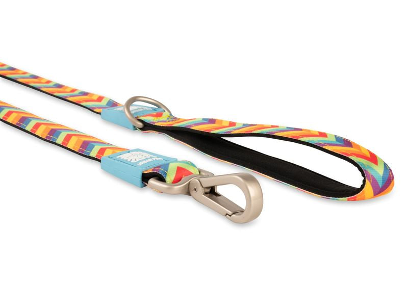 Max & Molly Summertime Rainbow Lead