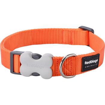 RD Orange Collar