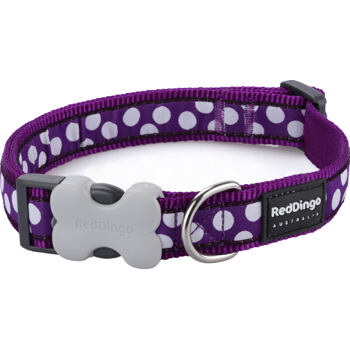 RD Purple White Spot Collar