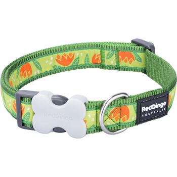 RD Tropical Green Collar