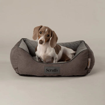 Scruffs Thermal Grey Box Bed