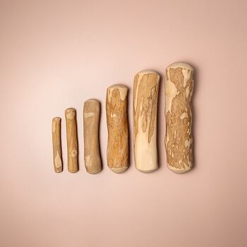 Wooffee Coffee Chew